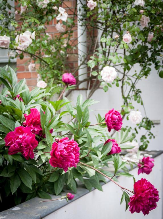 B&B Moensberg Linkebeek ภายนอก รูปภาพ
