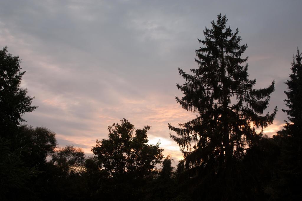 B&B Moensberg Linkebeek ภายนอก รูปภาพ